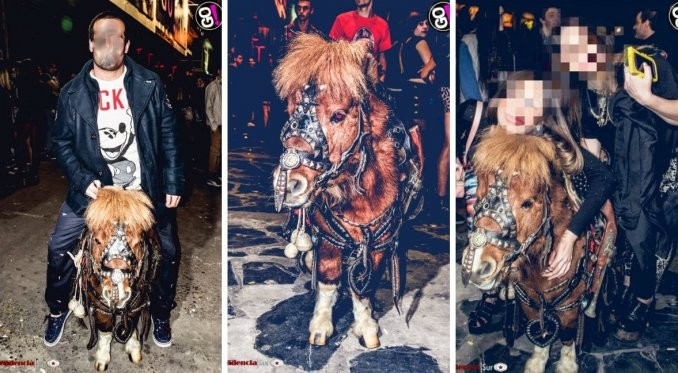 Escándalo: usaron un pony como atracción en una discoteca | Actualidad