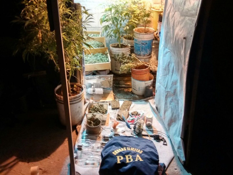 Tandil: Cae banda narco que vendía marihuana en escuelas | Actualidad