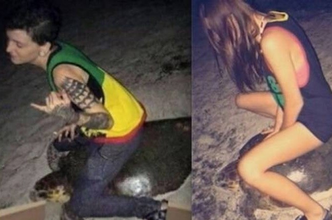 Montó una tortuga marina, publicó la foto en Facebook y fue detenida | Curiosidades