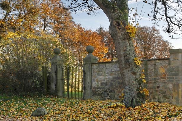 ¿Dónde está la mujer desnuda? | Curiosidades