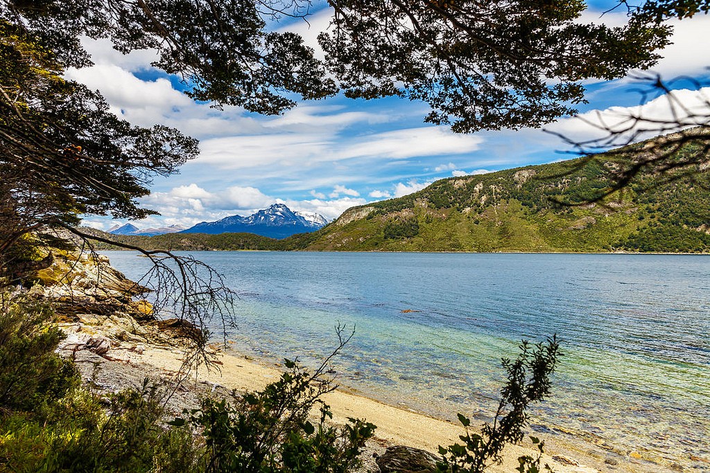 A juicio tres hombres que talaron 200 árboles en el Parque Nacional de Tierra del Fuego | Actualidad