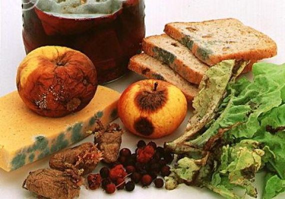 Cada 75 segundos muere una persona en el mundo por alimentos contaminados | Actualidad