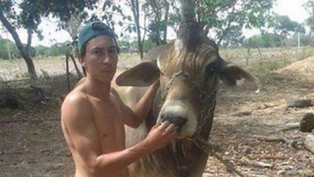 ¿Es un unicornio? : sorpresa en Brasil por la aparición de un toro con un solo cuerno | Curiosidades