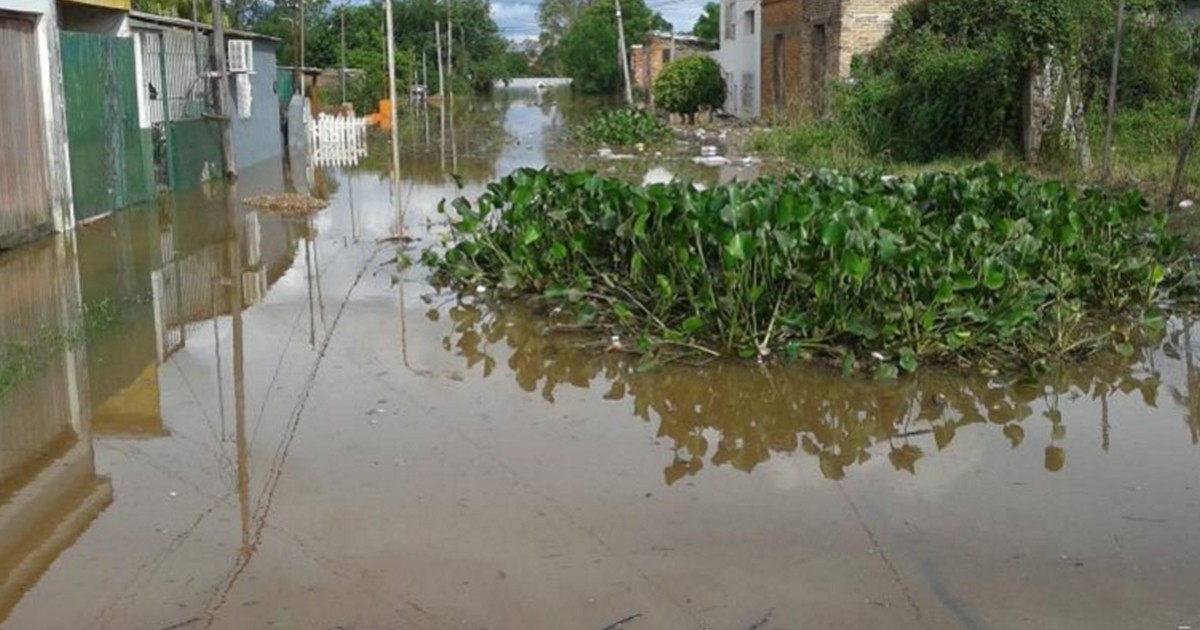 Más de 10.000 personas permanecen evacuadas en Concordia | Actualidad