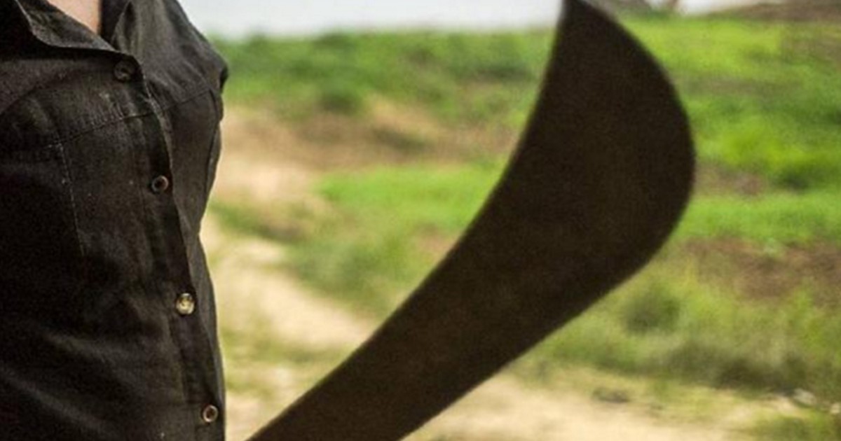 Atacó a su familia con un machete de 60 centímetros en la cena de Navidad | Actualidad