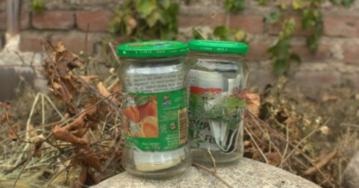 Encontraron nueve mil dólares enterrados en el patio y los devolvieron | Actualidad