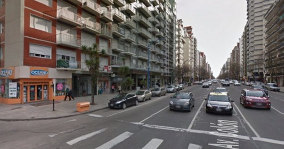 Un perro cayó de un piso 23 sobre una turista | Actualidad