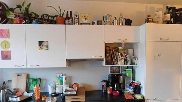 El enigma que desconcierta a Facebook: ¿sos capaz de encontrar al gato Pedro en esta foto? | Curiosidades