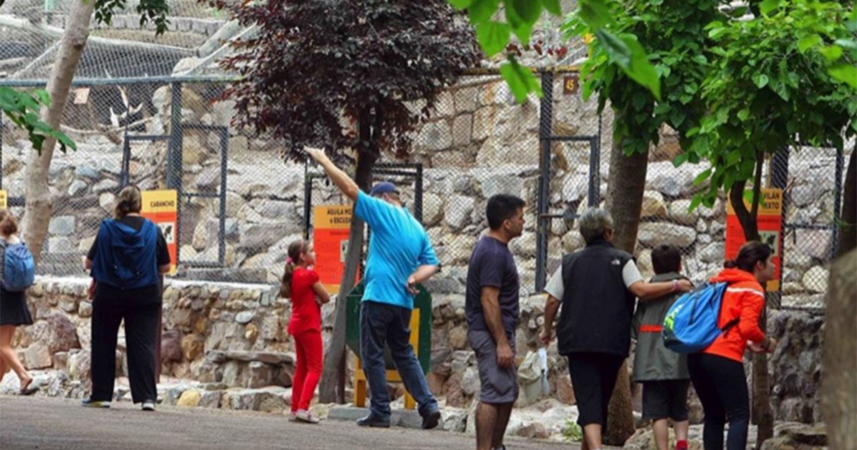 Por la muerte de dos ciervos, volvieron a cerrar el zoológico de Mendoza | Actualidad