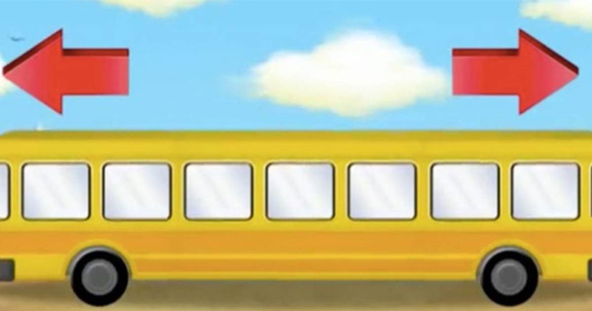 #EsViral: ¿para vos, en qué dirección va este autobús? | Curiosidades