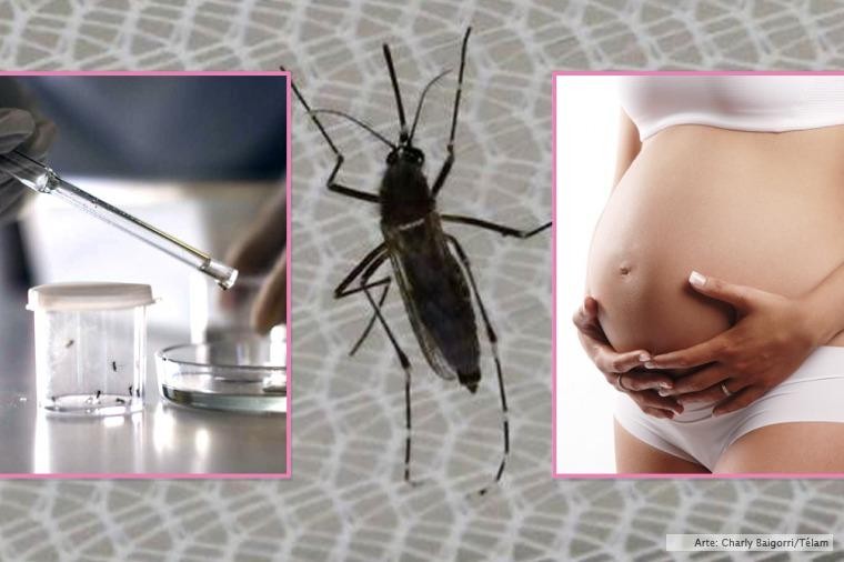 Nueva evidencia del vínculo entre el virus zika y malformaciones congénitas | Internacionales