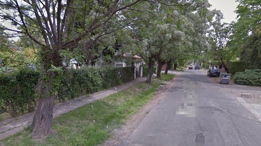 Ladrones disfrazados de pintores robaron la casa de una senadora | Actualidad