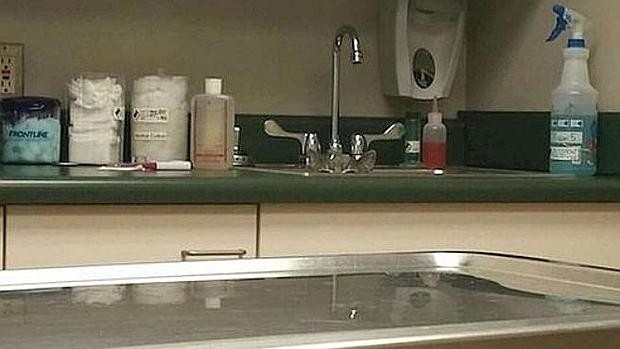 Otro desafío viral en Facebook: ¿dónde está el gato? | Redes