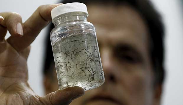 Piden intensificar prevención del dengue durante el fin de semana largo | Actualidad