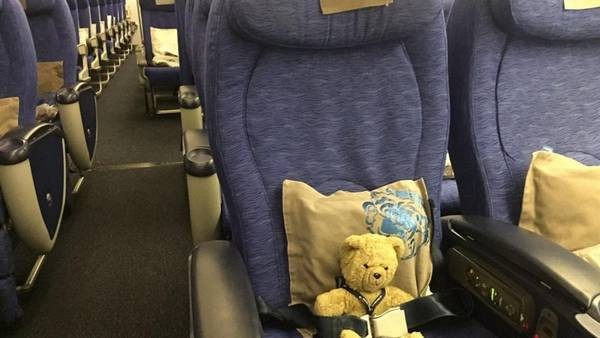 La historia del oso de peluche que viajò de Buenos Aires a Inglaterra para reencontrarse con su dueño | Curiosidades
