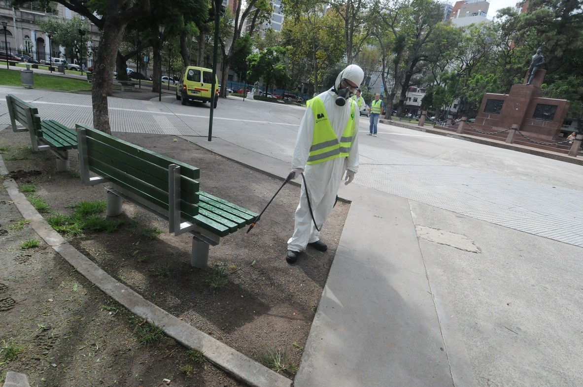 Dengue: "Estamos en el ápice del brote", afirmó el ministro de Salud | Actualidad