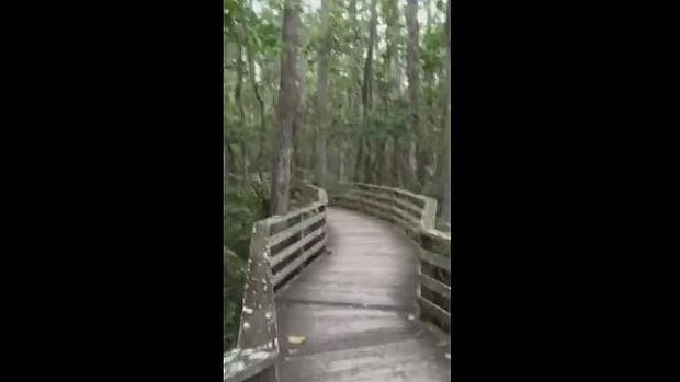 El inesperado encuentro de una mujer durante un paseo que aterroriza a Facebook | Curiosidades