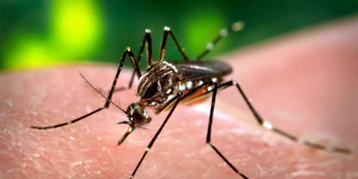 Salta: murió un joven de 20 años por dengue | Actualidad