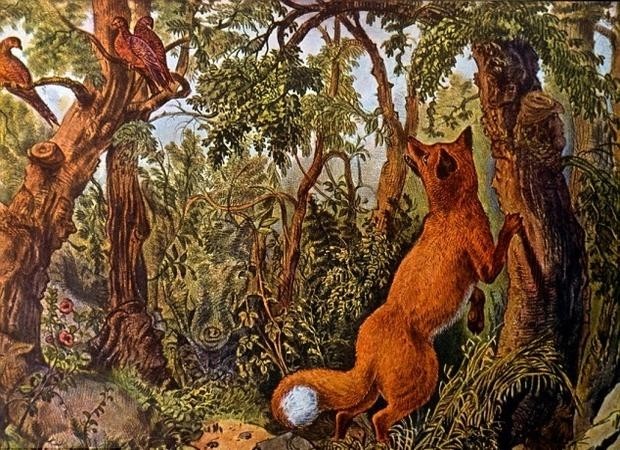 Un desafío viral óptico en una foto de hace 144 años: ¿cuántos rostros humanos y de animales ves? | Redes