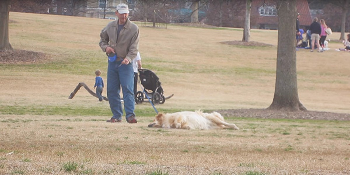 Video: el perro que se hace el “muerto” para quedarse un rato más en el parque | Curiosidades