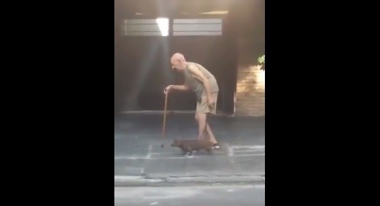 El perro salchicha que acompaña a su anciano dueño conmueve a las redes sociales | Redes