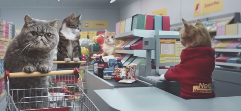 #VideoViral Gatos en un supermercado desatan locura en las redes sociales | Redes
