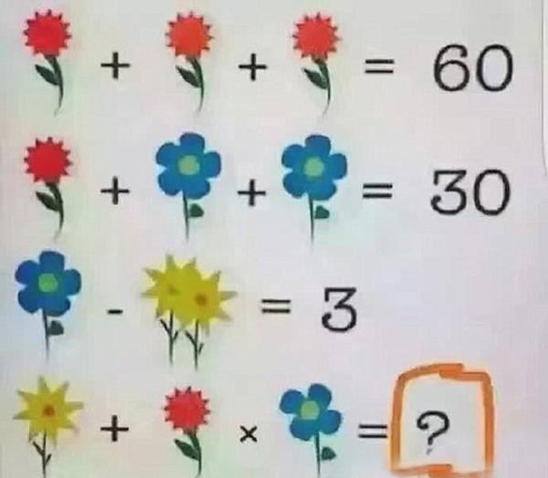 La ecuación matemática de las flores que es furor en las redes sociales | Redes