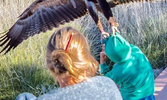 Impactante imagen: un águila intentó llevarse a un niño | Curiosidades