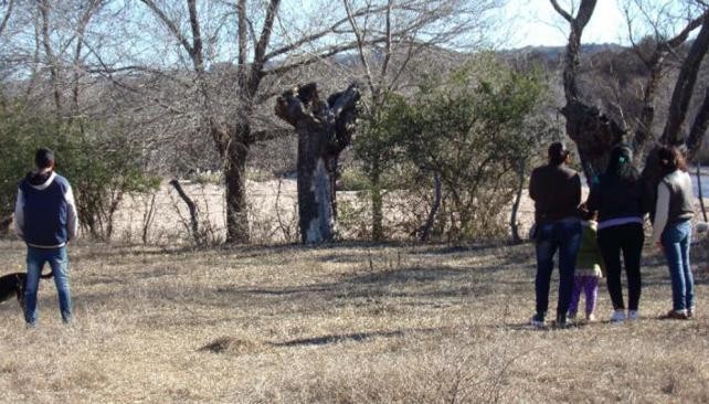 Creen ver la imagen de la virgen en el tronco de un árbol en Córdoba | Curiosidades