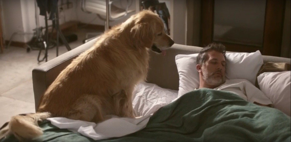 "Seamos inclusivos, seamos más perros": Una campaña que busca la inclusión de las personas con padecimientos mentales | Actualidad