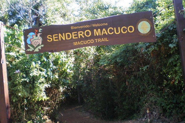 Susto en el Parque Nacional Iguazú: una familia se cruzó con un puma | Actualidad