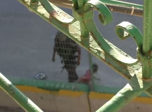 Video: Un policía israelí le saca a una nena palestina su bicicleta y la arroja a unos arbustos | Internacionales