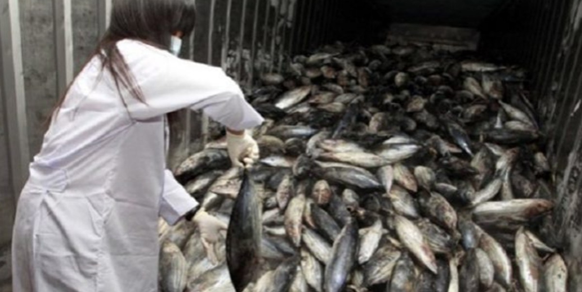 China: los detienen por vender mariscos radiactivos procedentes de Fukushima | Internacionales