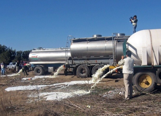 Ahora los tamberos evalúan regalar leche en Plaza de Mayo para protestar por la crisis del sector | Actualidad