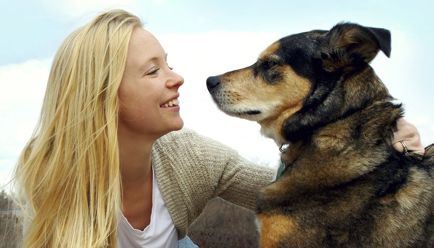 Los perros entienden lo que dicen los humanos y cómo lo dicen, afirma una investigación | Curiosidades