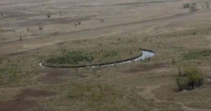 La extraña isla del Delta que genera desconcierto entre especialistas | Actualidad