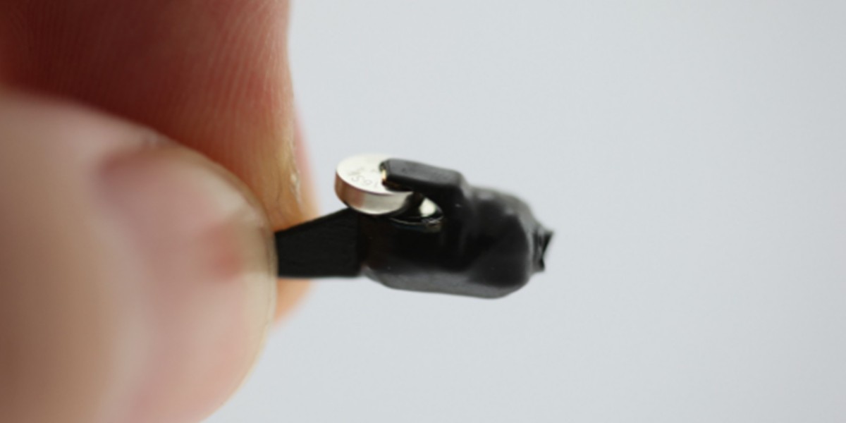 Quiso hacer trampa en el examen de conducir y terminó detenido | Internacionales