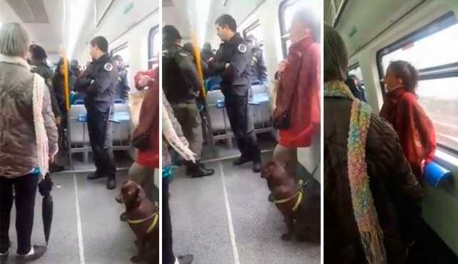 Video viral: la discusión en el tren por una mujer que quería viajar con un perro | Actualidad