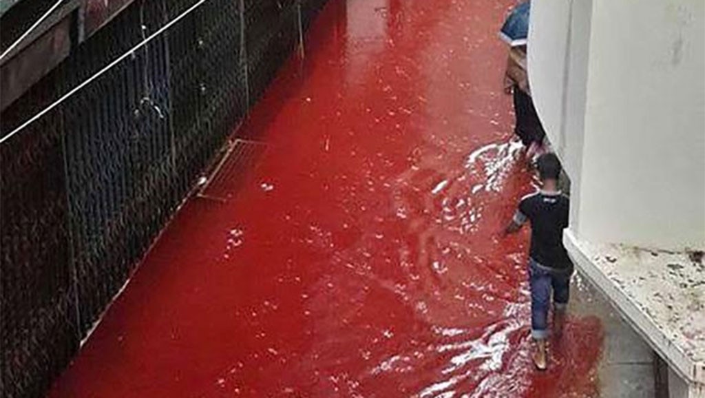 Ríos de sangre en la capital de Bangladesh | Internacionales