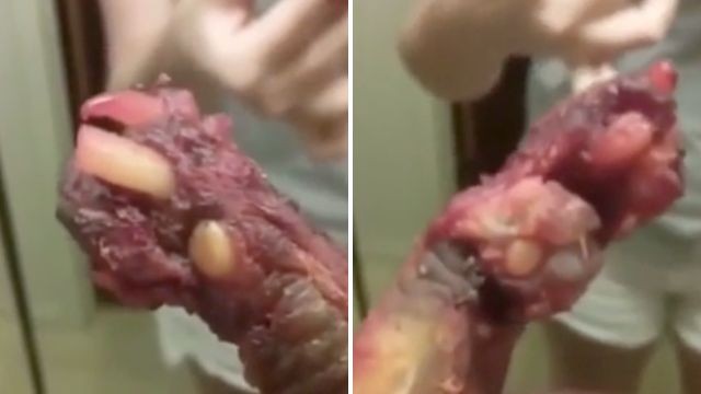 Denunció que en un restaurante chino le siriveron patas de perro | Redes