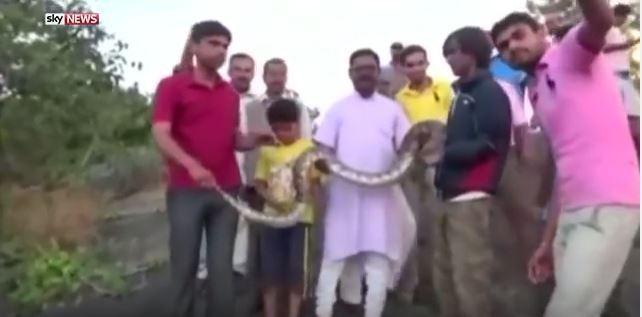 Se sacaron una selfie con una serpiente y todo terminó en tragedia | Redes