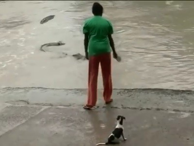 #EsViral Armada solo con sus ojotas, contra un cocodrilo de 4 metros | Redes