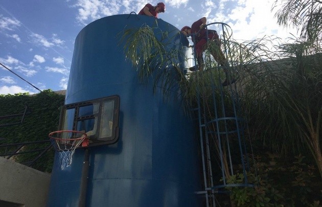 Al huir de la Policía, pisó a su cómplice en un tanque y lo ahogó | Actualidad