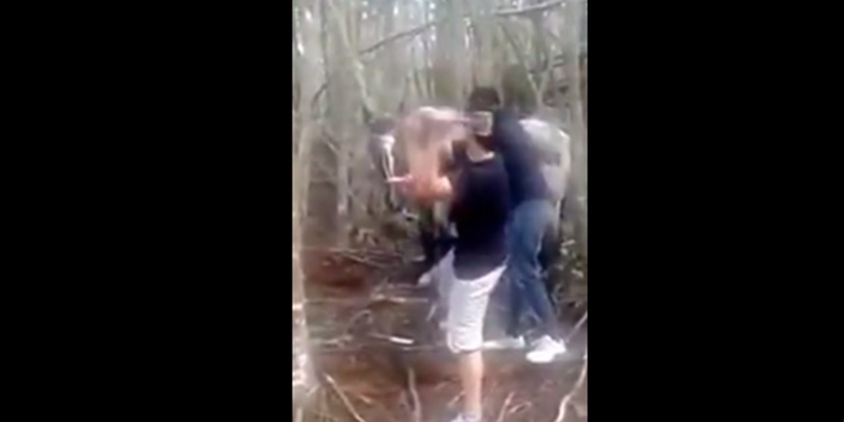 Matan a mazazos y faenan a un caballo que estaba atado | Actualidad