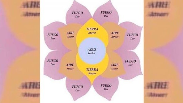 Una mujer estafó a varios pobladores de Chamical, en La Rioja, con la Flor de la Abundancia | Actualidad