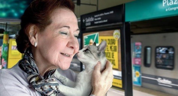 Más del 70% de los porteños quiere que las mascotas puedan viajar en subte | Actualidad
