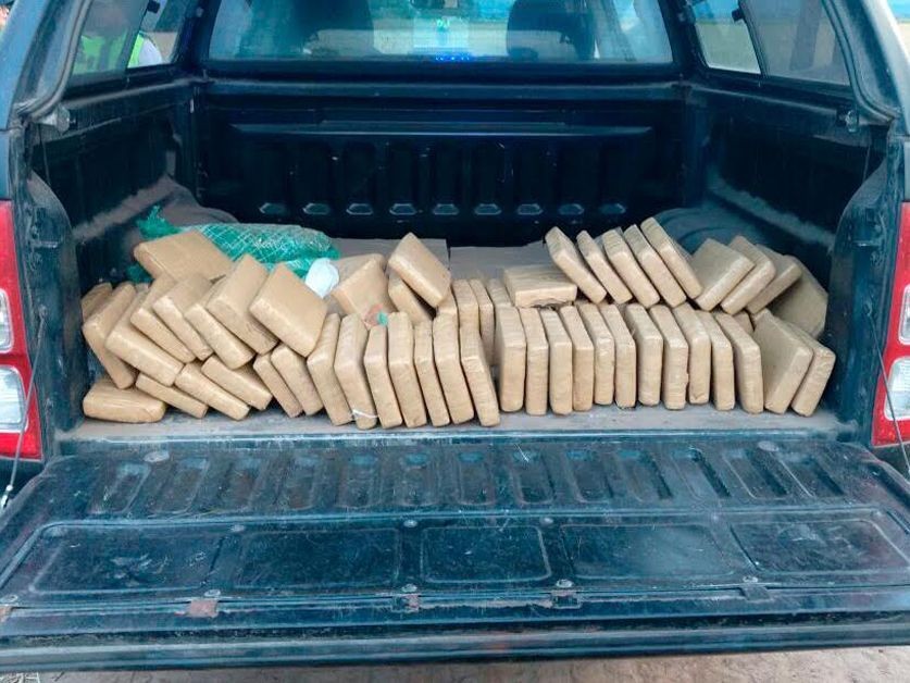 Encuentran más de 100 kilos de marihuana en un campo en Tucumán que habrían tirado desde una avioneta | Actualidad