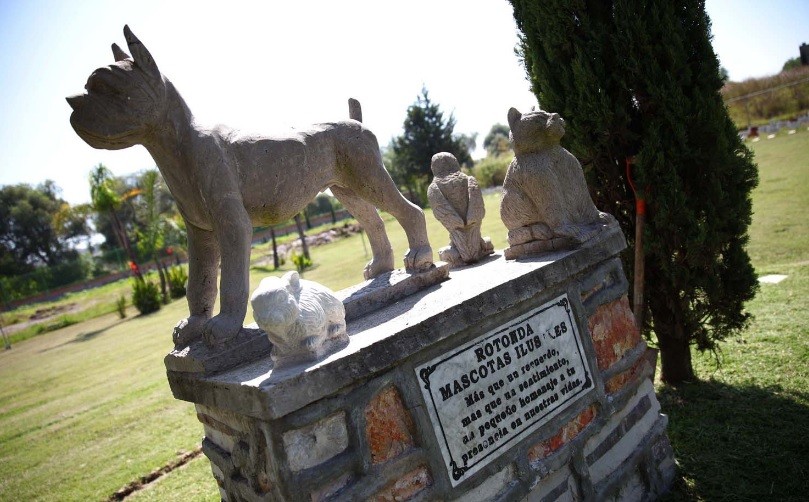 Aprueban la creación de un cementerio y crematorio de animales en Rosario | Actualidad