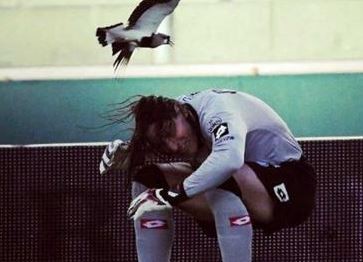 Olave paró el partido porque lo atacó un tero | Deportes