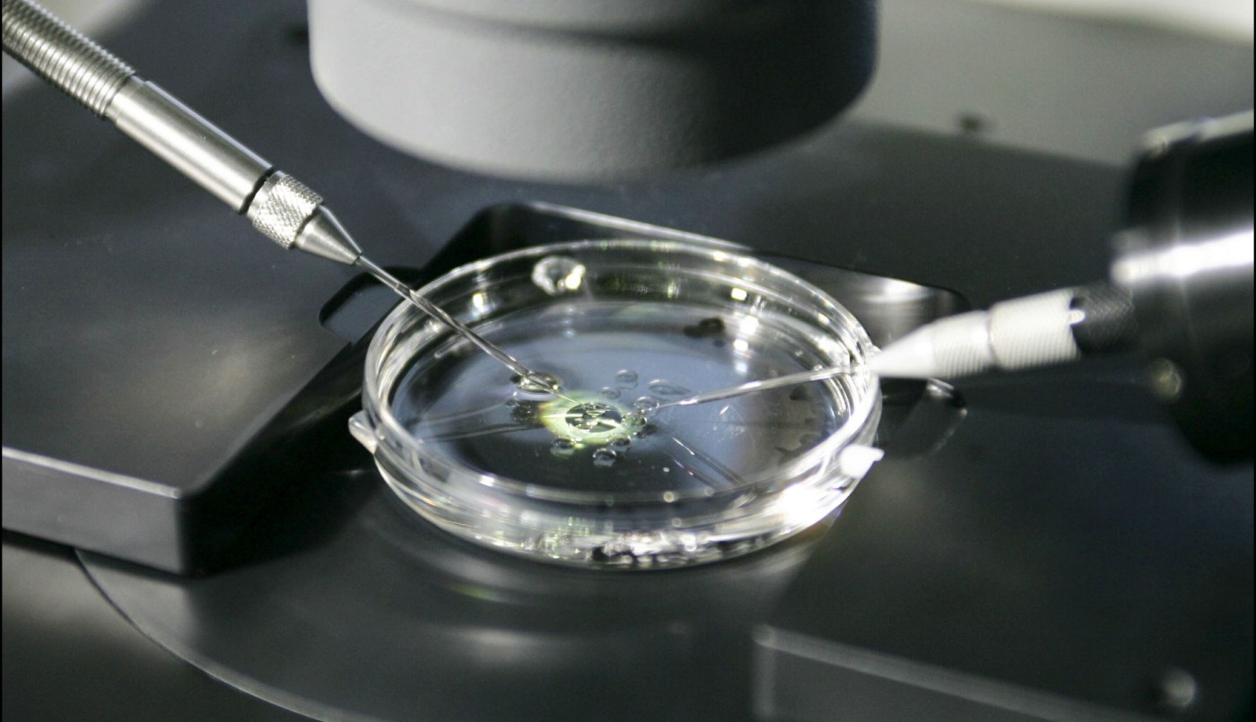 Justicia ordena a obra social la cobertura total del tratamiento de fertilización a una mujer | Actualidad